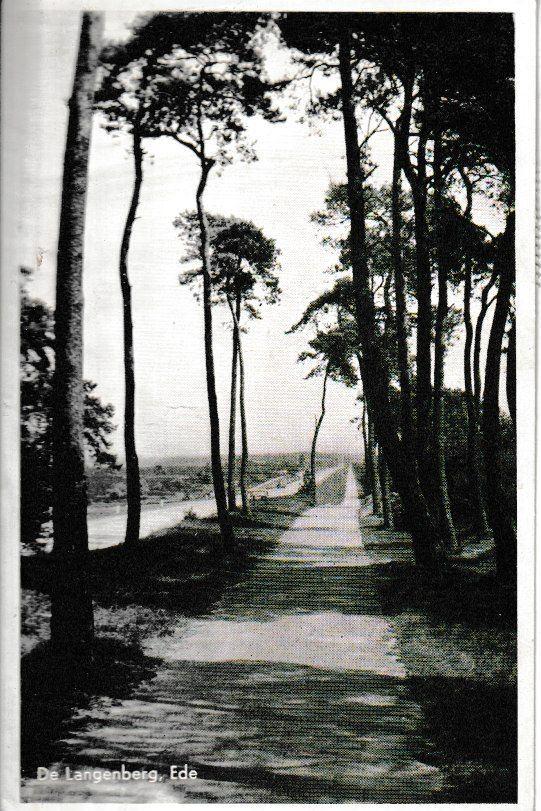EDE - De LANGENBERG, Ophalen of Verzenden, 1960 tot 1980, Gelopen, Gelderland