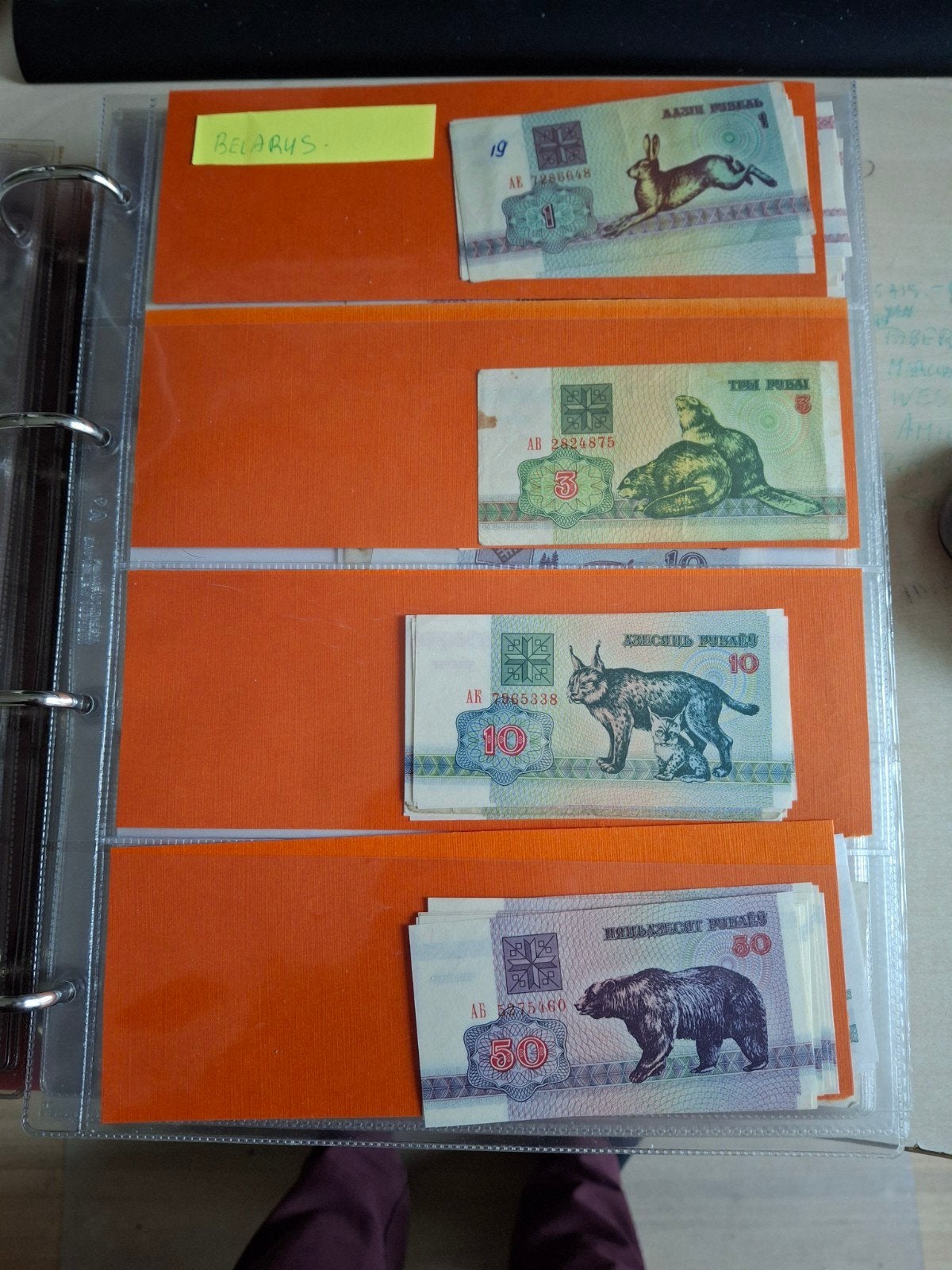19 biljetten uit Belarus, Postzegels en Munten, Ophalen of Verzenden, Setje