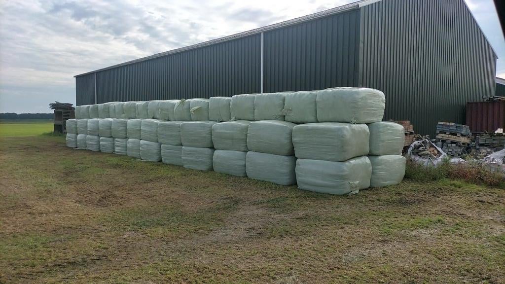 Grote partij balen kuilgras te koop, Dieren en Toebehoren, Ophalen
