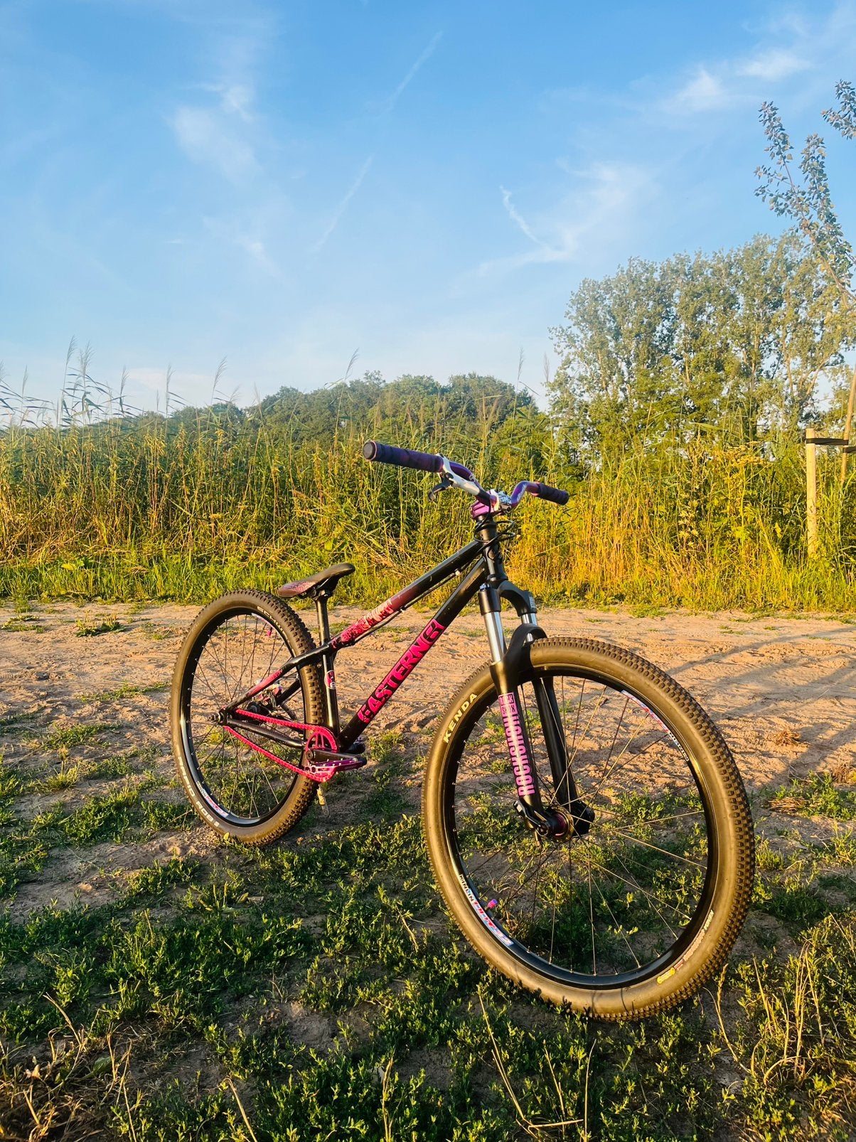 Eistern dirt jumper/dj maat s, Ophalen, 24 inch of meer, Gebruikt, Staal