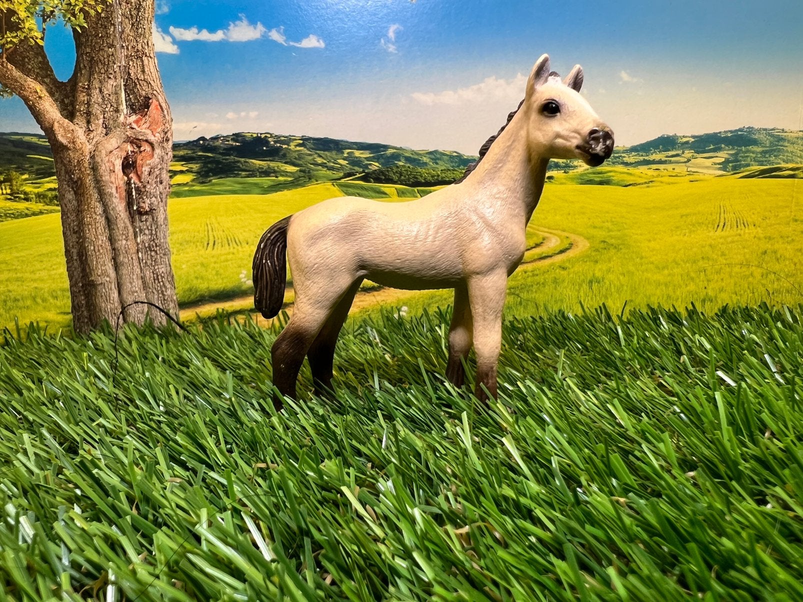 Schleich akhal teke veulen 13702, Ophalen, Gebruikt, Paard, Beeldje of Figuurtje