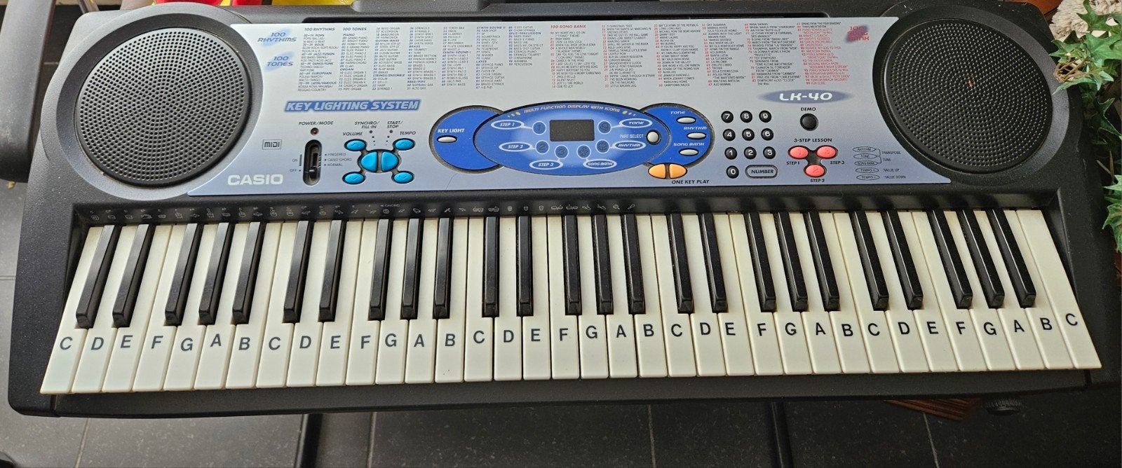 Casio LK-40 Keyboard met Key Lighting System, Muziek en Instrumenten, Ophalen, Gebruikt, 61 toetsen, Casio