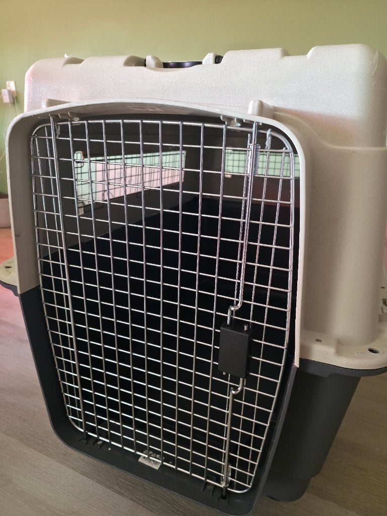 Reismand Hond XL, Ophalen, Zo goed als nieuw