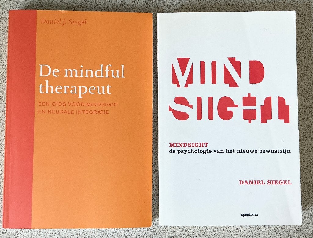 Mindsight / De mindful therapeut - Daniel Siegel (NL), Ophalen of Verzenden, Gelezen, Ontwikkelingspsychologie, Daniel Siegel