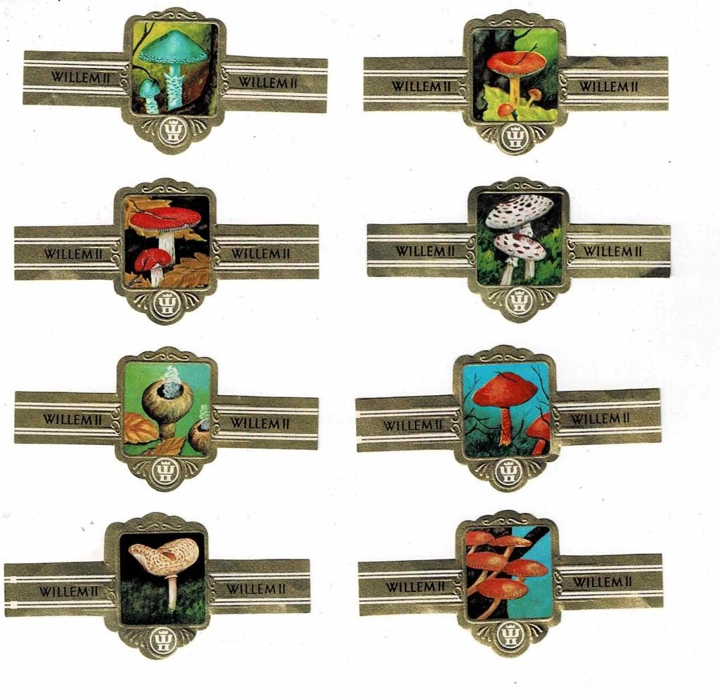 sigarenbandjes 1201 Paddenstoelen Willem II, Verzamelen, Ophalen of Verzenden, Sigarenbandjes