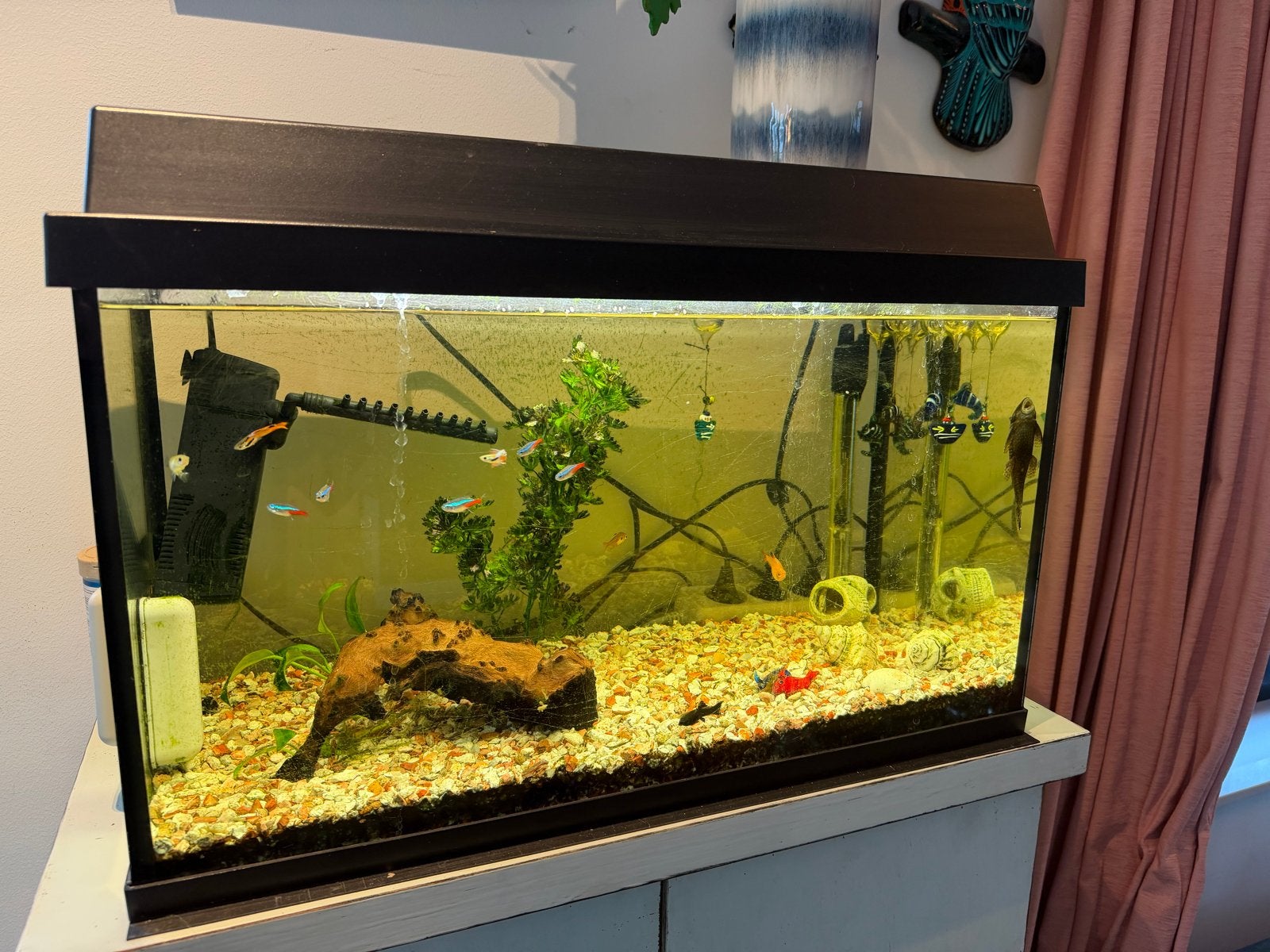 Compleet 50L aquarium, Ophalen, Gebruikt, Pomp, Overige merken