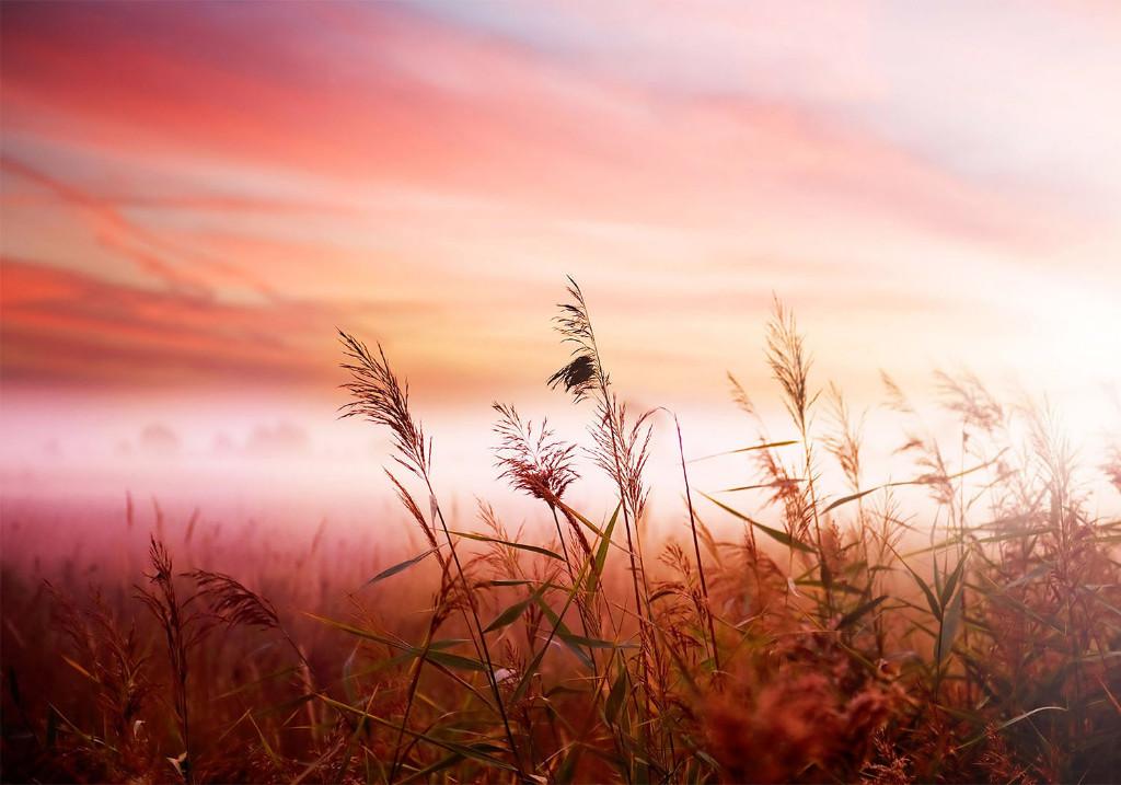 92 Sunset Natuur Vlies Fotobehang 350x250cm in 3 maten Nieuw, Ophalen of Verzenden, Nieuw