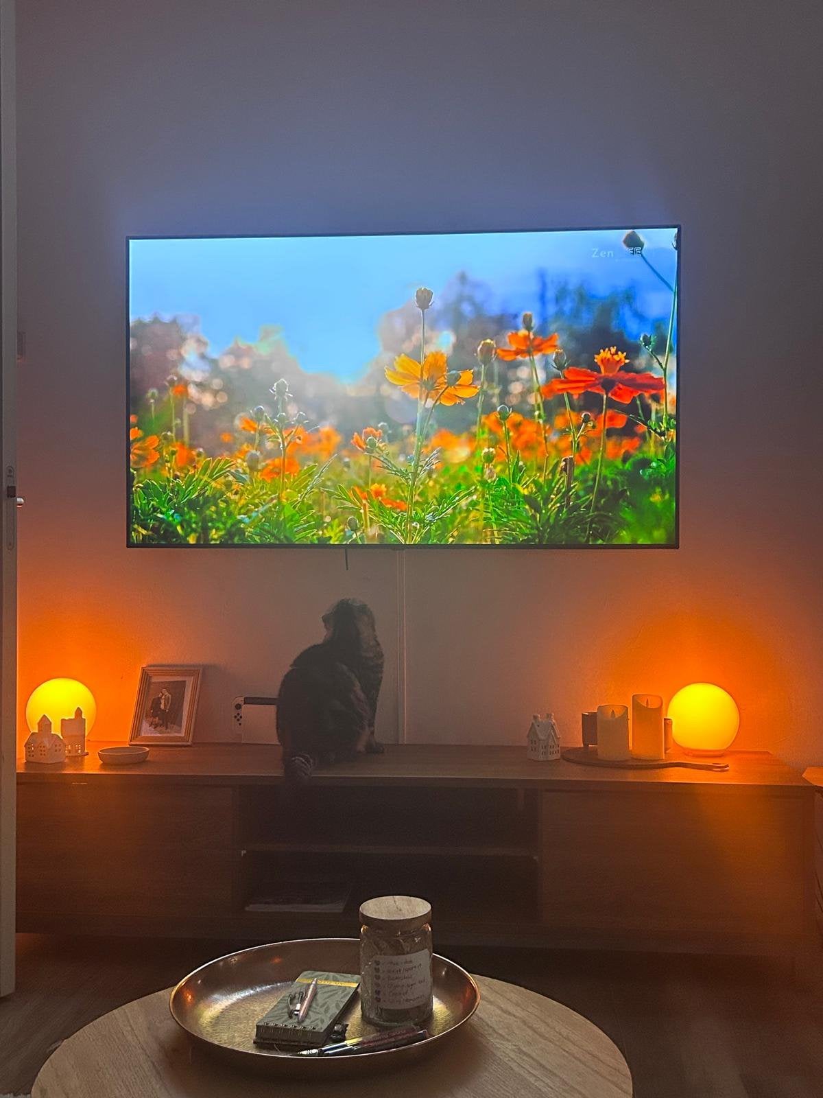 LG OLED C1 65 inch 4K Smart TV met garantie tot 2027, Audio, Tv en Foto, Televisies, Ophalen, Zo goed als nieuw, 100 cm of meer