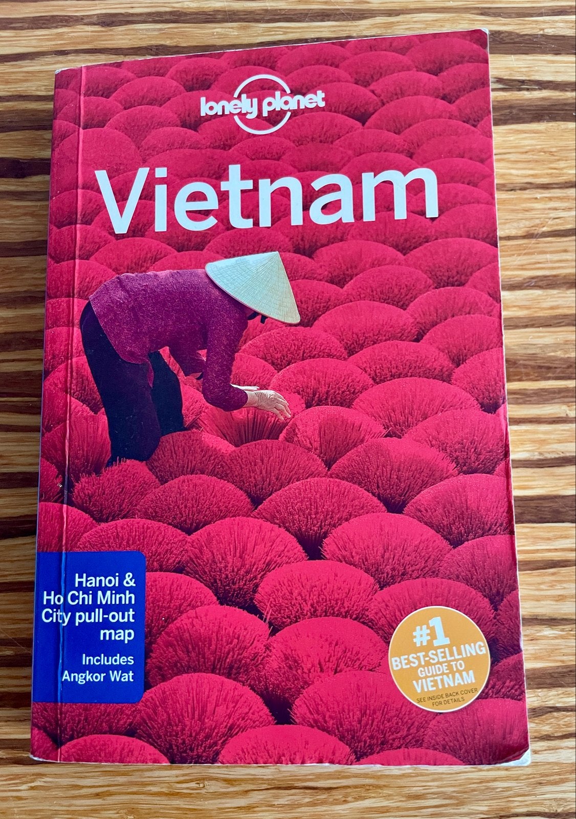 Lonely Planet Vietnam Reisgids (14e editie), Gelezen, Lonely Planet, Ophalen of Verzenden, Reisgids of -boek