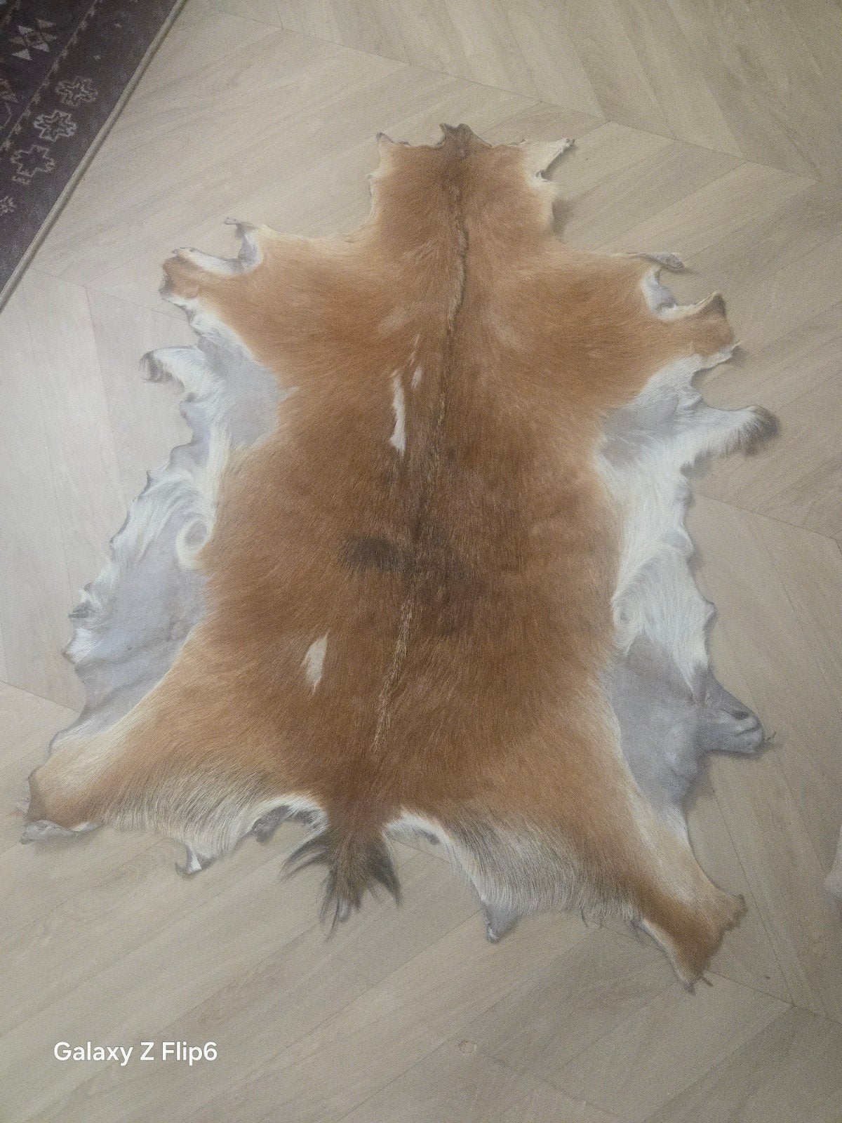 Koeienhuid vloerkleed, Ophalen, Overige vormen, 100 tot 150 cm, 50 tot 100 cm