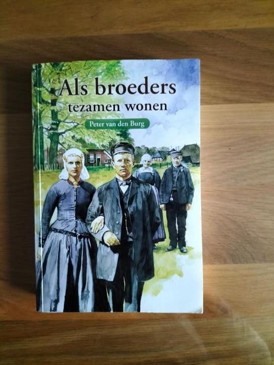 Peter van den Burg - Als broeders tezamen wonen, Noord-Brabant, Ophalen of Verzenden, Zo goed als nieuw, Peter van den Burg