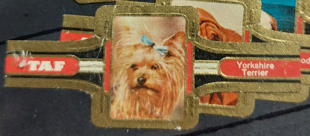 Sigarenbandjes, Ophalen of Verzenden, Gebruikt, Sigarenbandjes