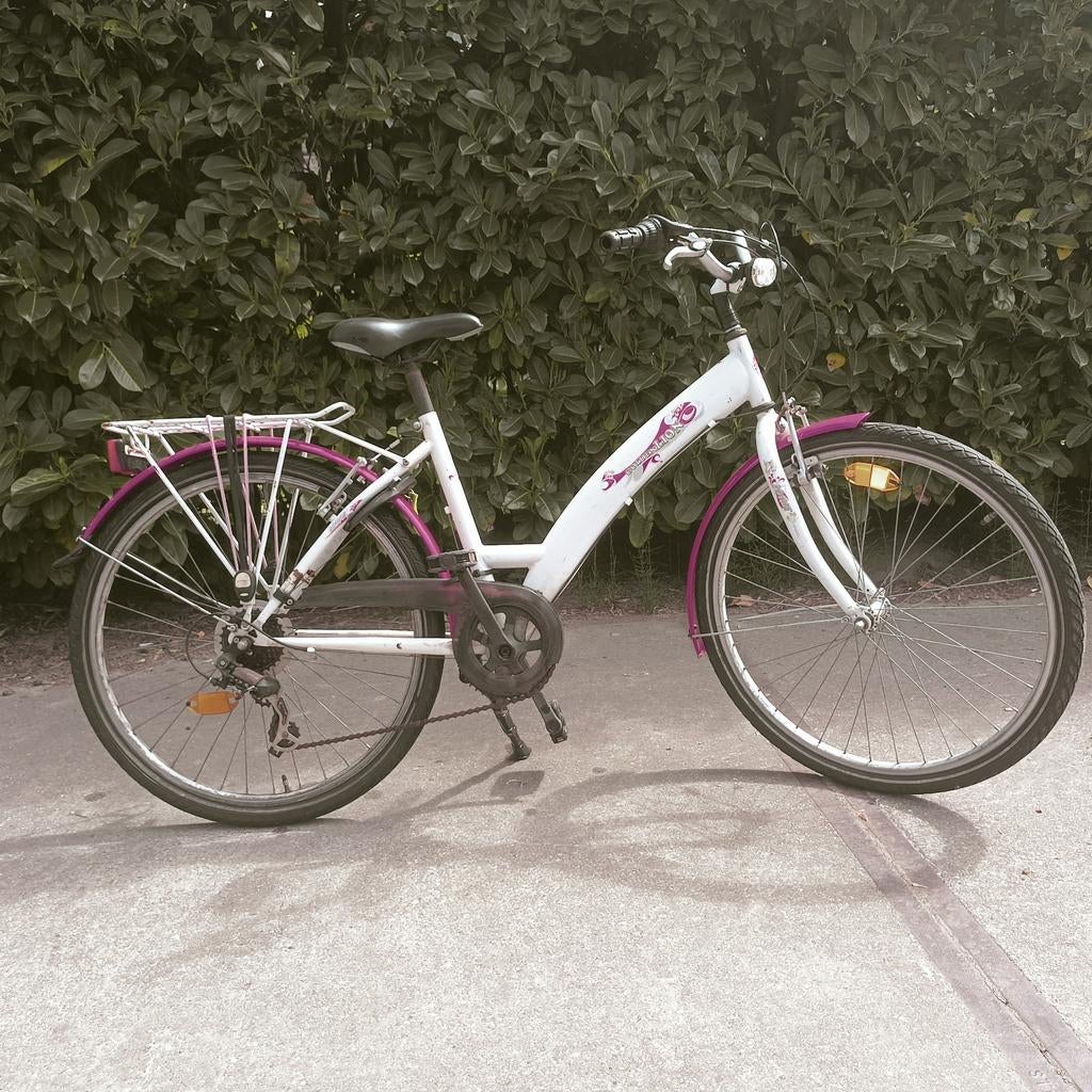 Moutinbike meisje, Fietsen en Brommers, Fietsen | Cruisers en Lowriders, Gebruikt, Dames, Staal, Ophalen