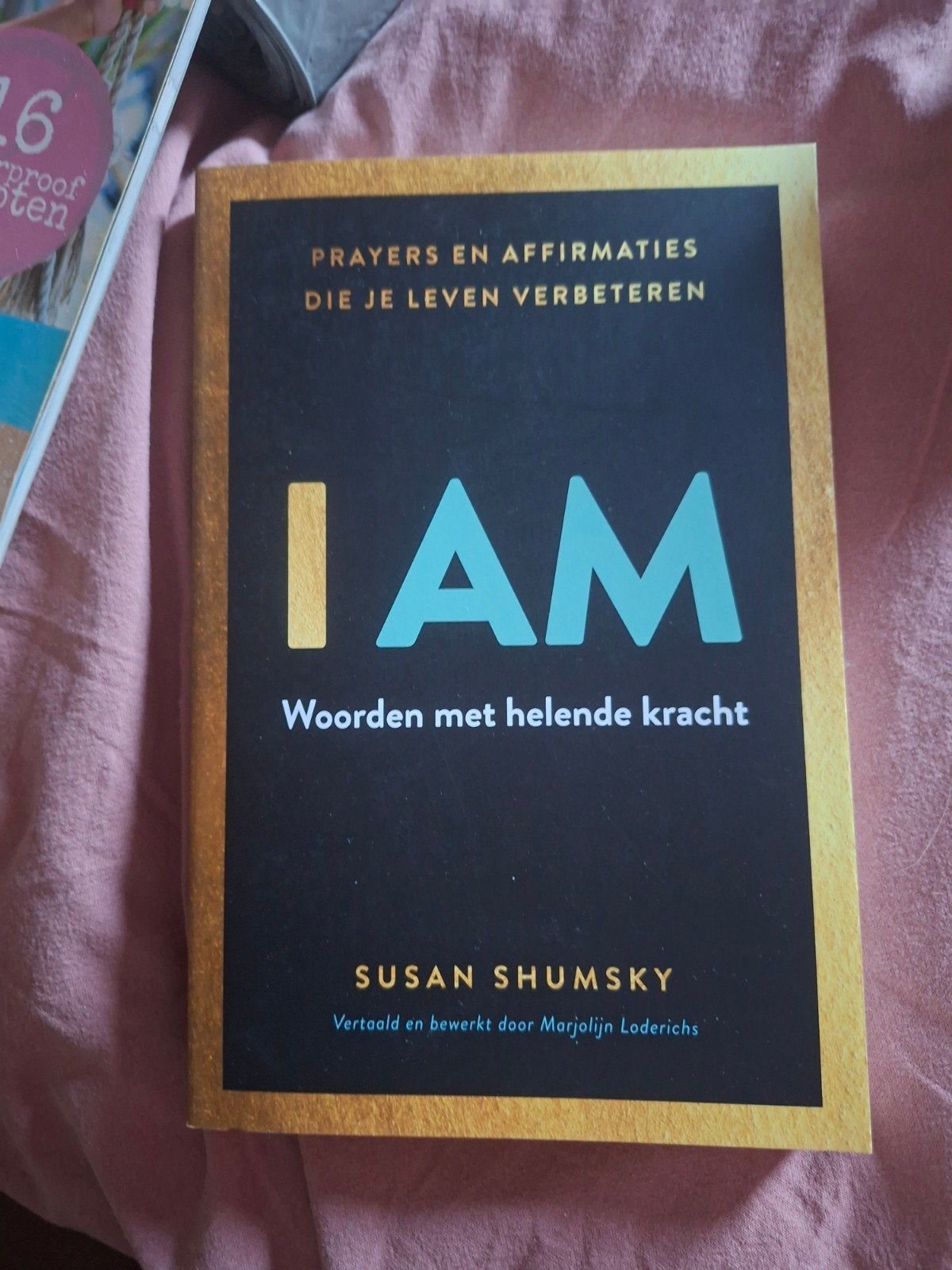 Susan Shumsky - I Am, Achtergrond en Informatie, Spiritualiteit algemeen, Ophalen of Verzenden, Zo goed als nieuw