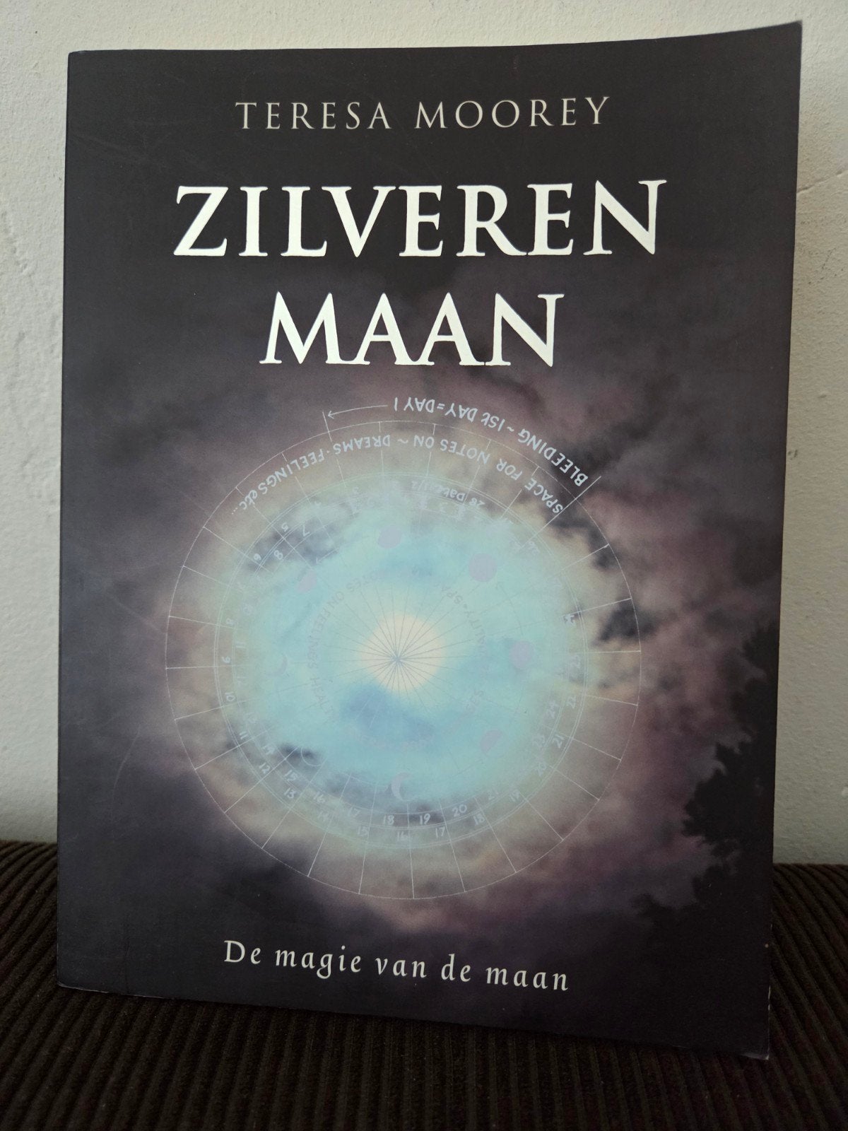 Zilveren Maan: De magie van de maan - Teresa Moorey, Boeken, Ophalen of Verzenden, Gelezen, Astrologie, Achtergrond en Informatie