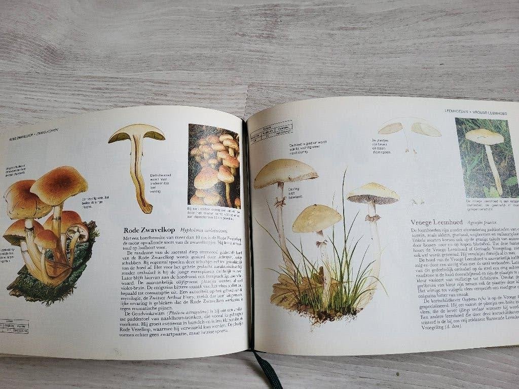 Paddestoelen van West- en Midden- Europa, Verzenden, Gelezen, Bloemen, Planten en Bomen