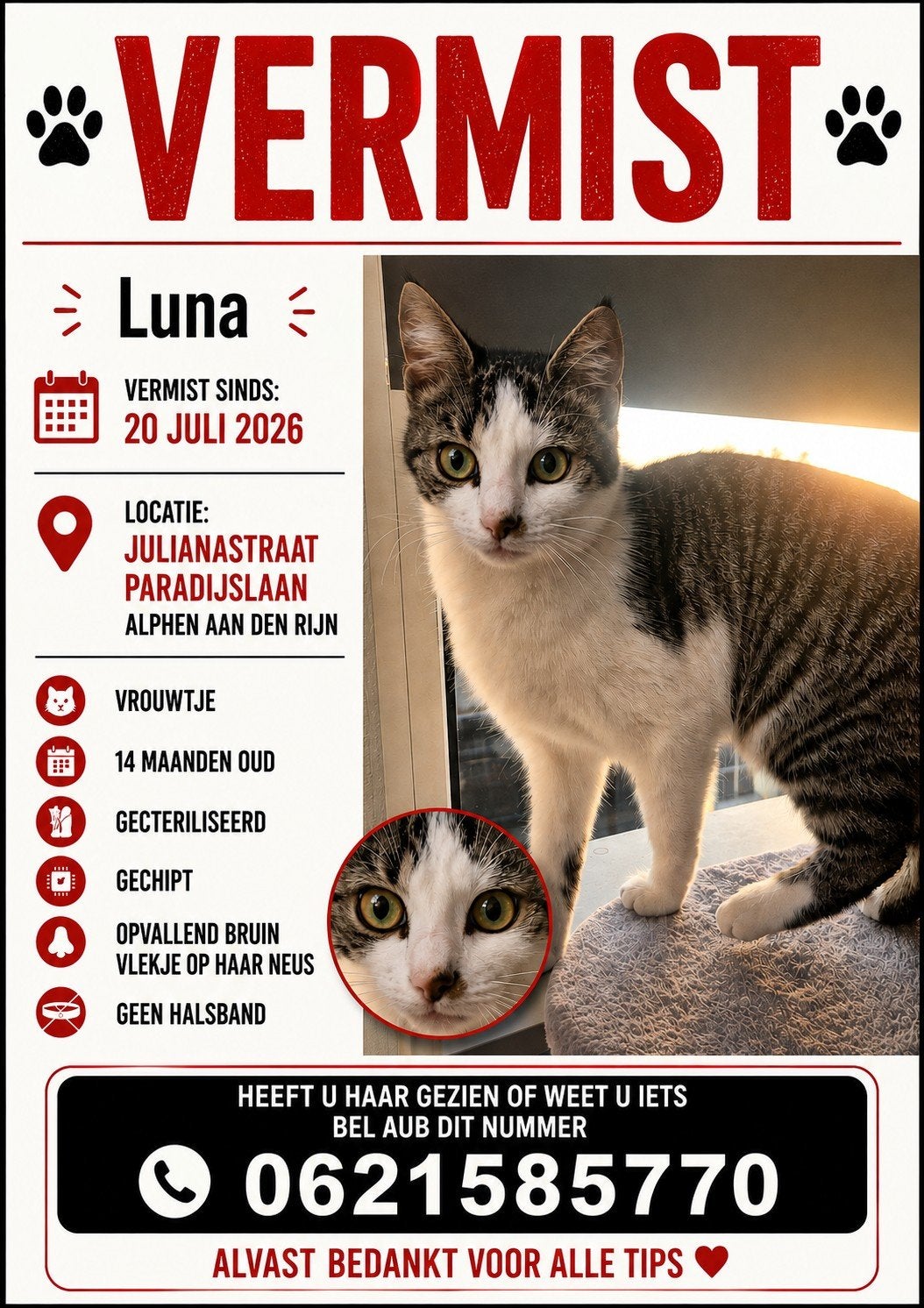 VERMIST (Alphen), Kat