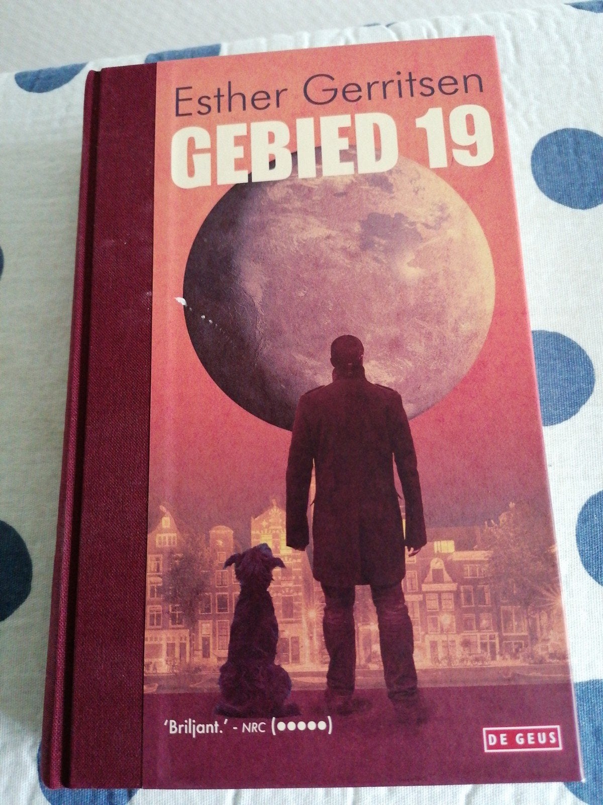Gebied 19 - Esther Gerritsen (hardcover), Esther Gerritsen, Ophalen of Verzenden, Zo goed als nieuw, Nederland