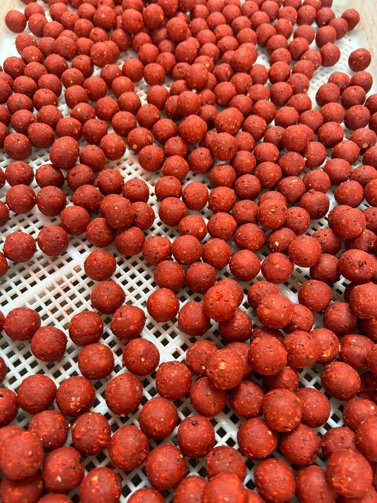 Speciale fruit/kruiden/knoflook boilie, Ophalen of Verzenden, Zo goed als nieuw, Overige typen