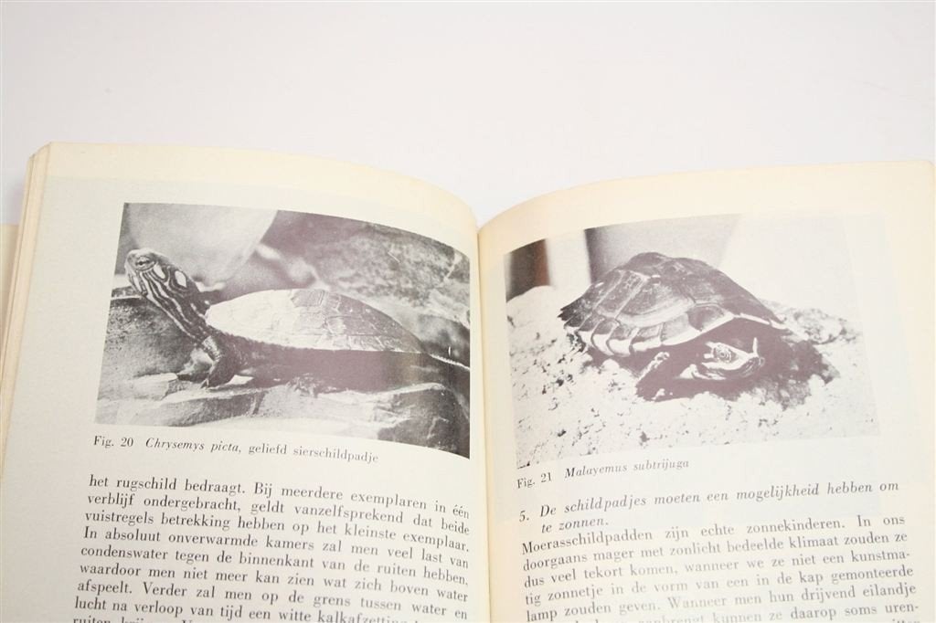 Het Schildpaddenboekje — Land- & Moerasschildpadden, Ophalen of Verzenden, Gelezen, Honden