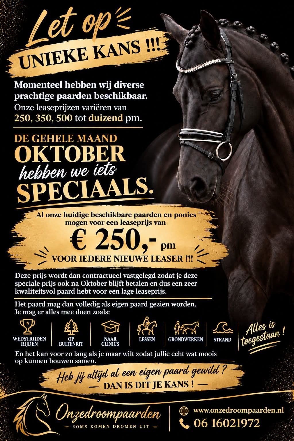 ⭐️ Oktober ACTIE ! ⭐️ Alle paarden 250,- pm !!! 🤩🤩🤩, Dieren en Toebehoren, Met stamboom, Dressuurpony, 3 tot 6 jaar, L