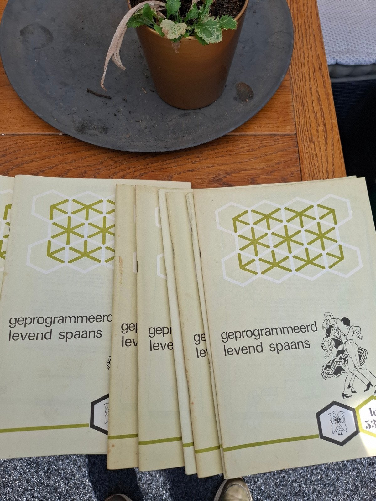Cursus Spaans op LP's en bladen - Nederlands Talen Instituut, Boeken, Ophalen of Verzenden, Gelezen, Nederlands Talen Instituut