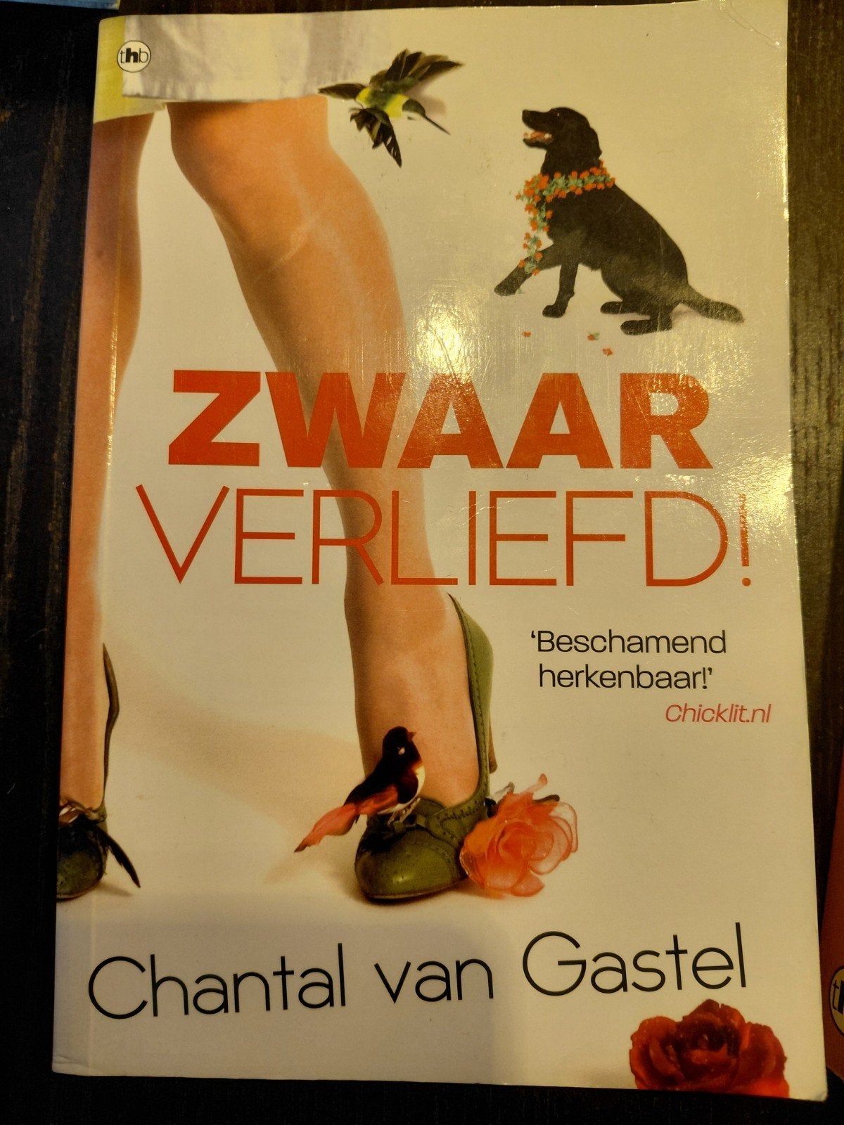 Chantal van Gastel Boeken - Diverse Titels, Boeken, Ophalen of Verzenden, Gelezen, Chantal van Gastel, Nederland