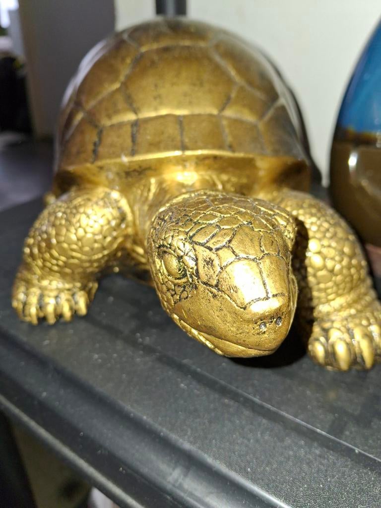 Gouden decoratieve schildpad - 31x14x15 cm, Huis en Inrichting, Woonaccessoires | Overige, Ophalen of Verzenden, Zo goed als nieuw