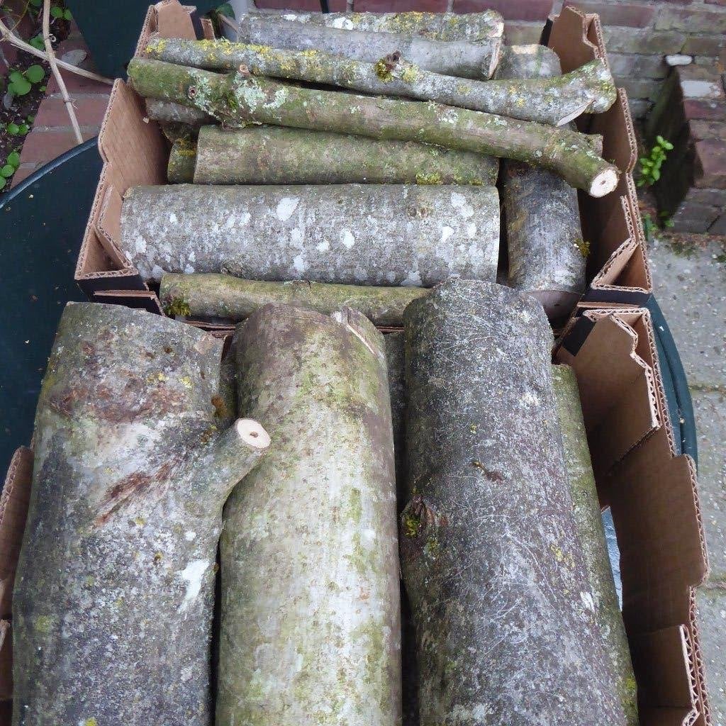 stookhout, Tuin en Terras, Minder dan 3 m³, Ophalen