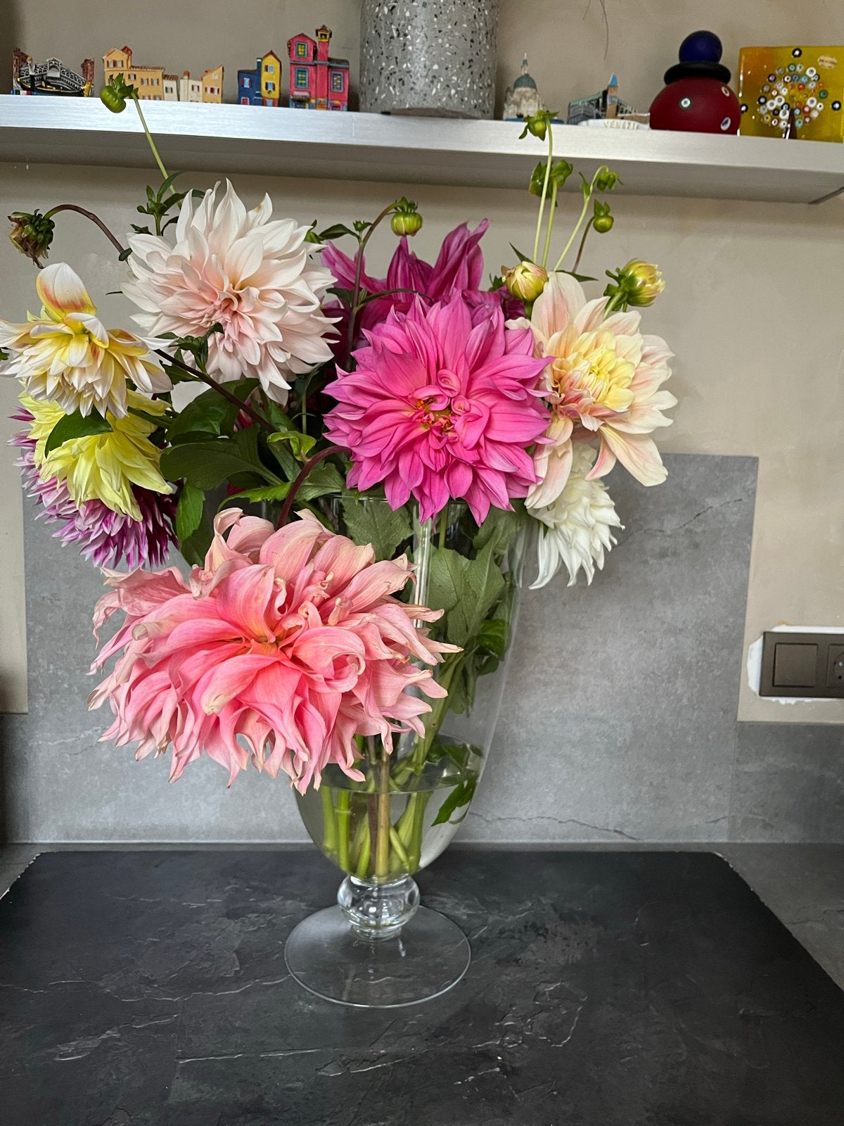Dahlia knollen, verschillende kleuren, Tuin en Terras, Overige soorten, Volle zon, Vaste plant, Ophalen of Verzenden