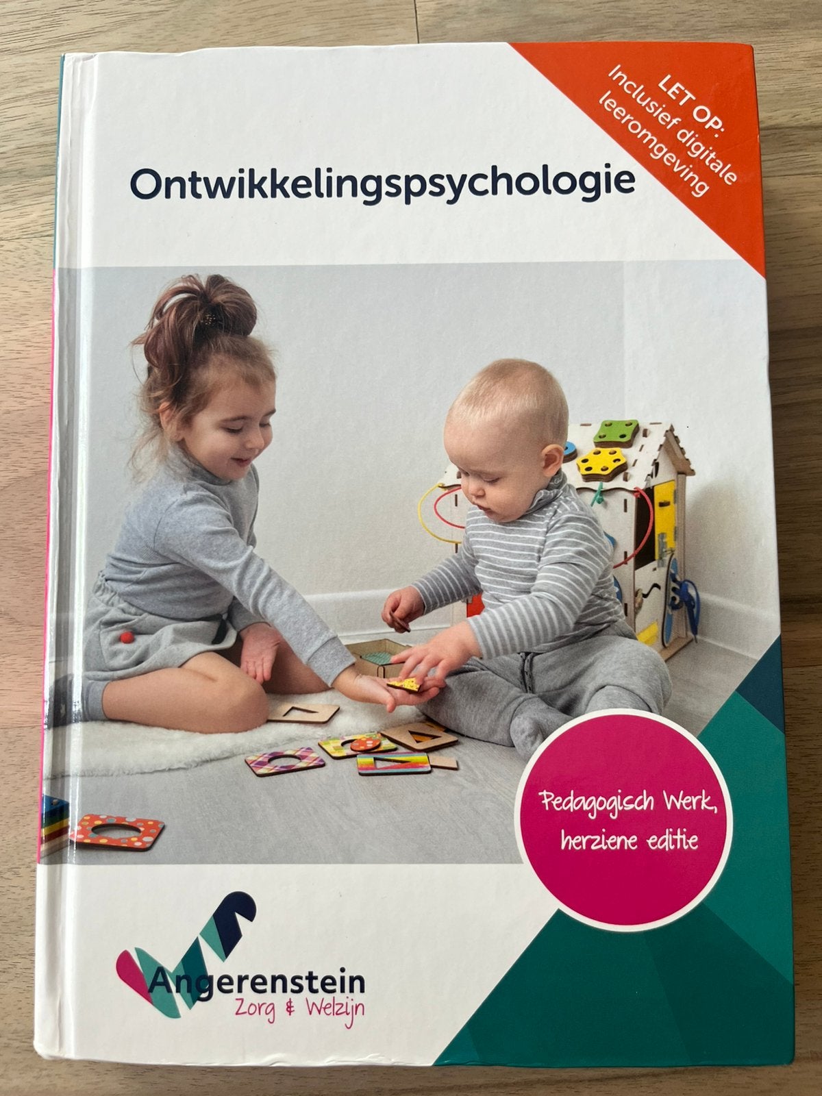 Ontwikkelingspsychologie - Angerenstein, Boeken, Ophalen, Gelezen, MBO