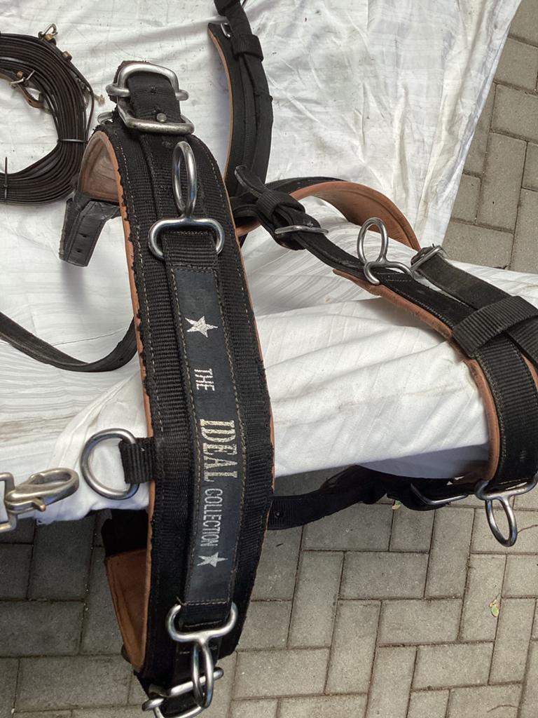 Enkel menspan  IDEAL COLLECTION  Full, Dieren en Toebehoren, Paarden en Pony's | Hoofdstellen en Tuigage, Ophalen of Verzenden