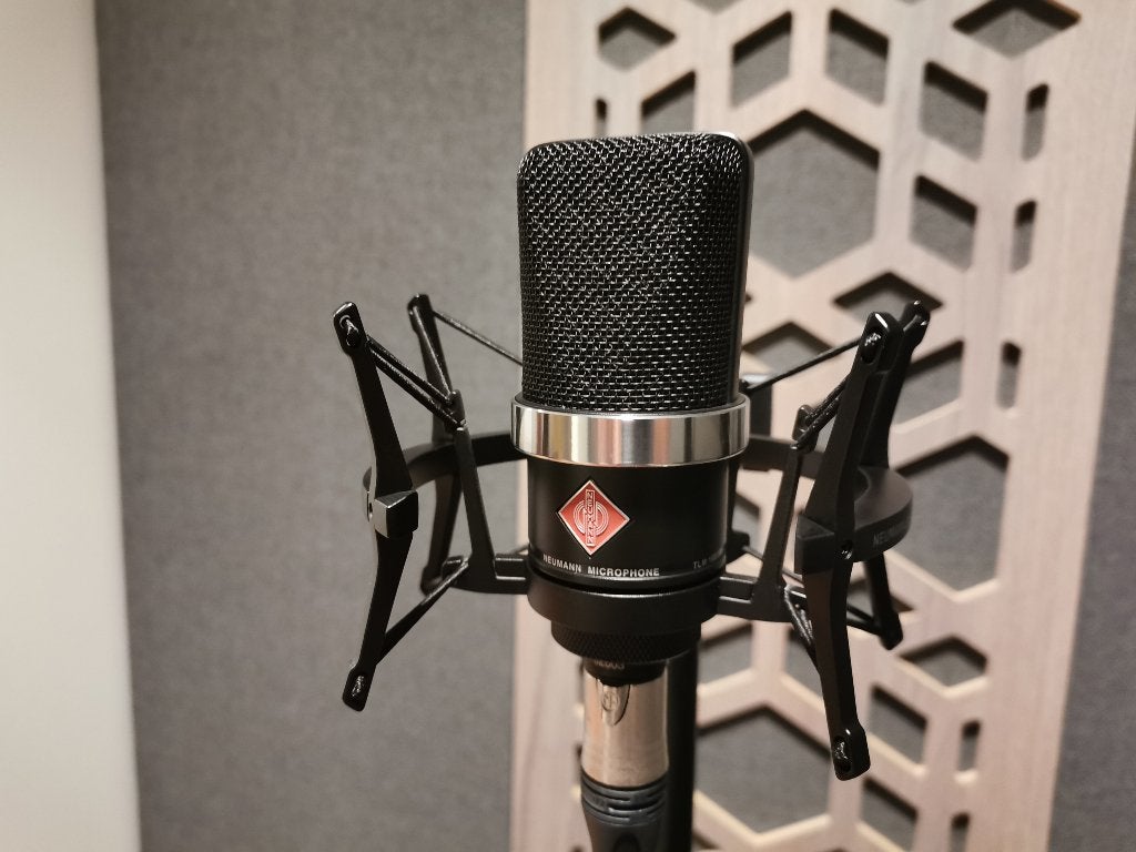 Neumann TLM 102 met EA-4 Shockmount Zwart - Nieuw, Muziek en Instrumenten, Ophalen of Verzenden, Nieuw, Studiomicrofoon