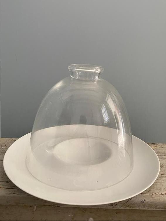 Glazen stolp met witte aardewerk onderschotel, Ophalen of Verzenden