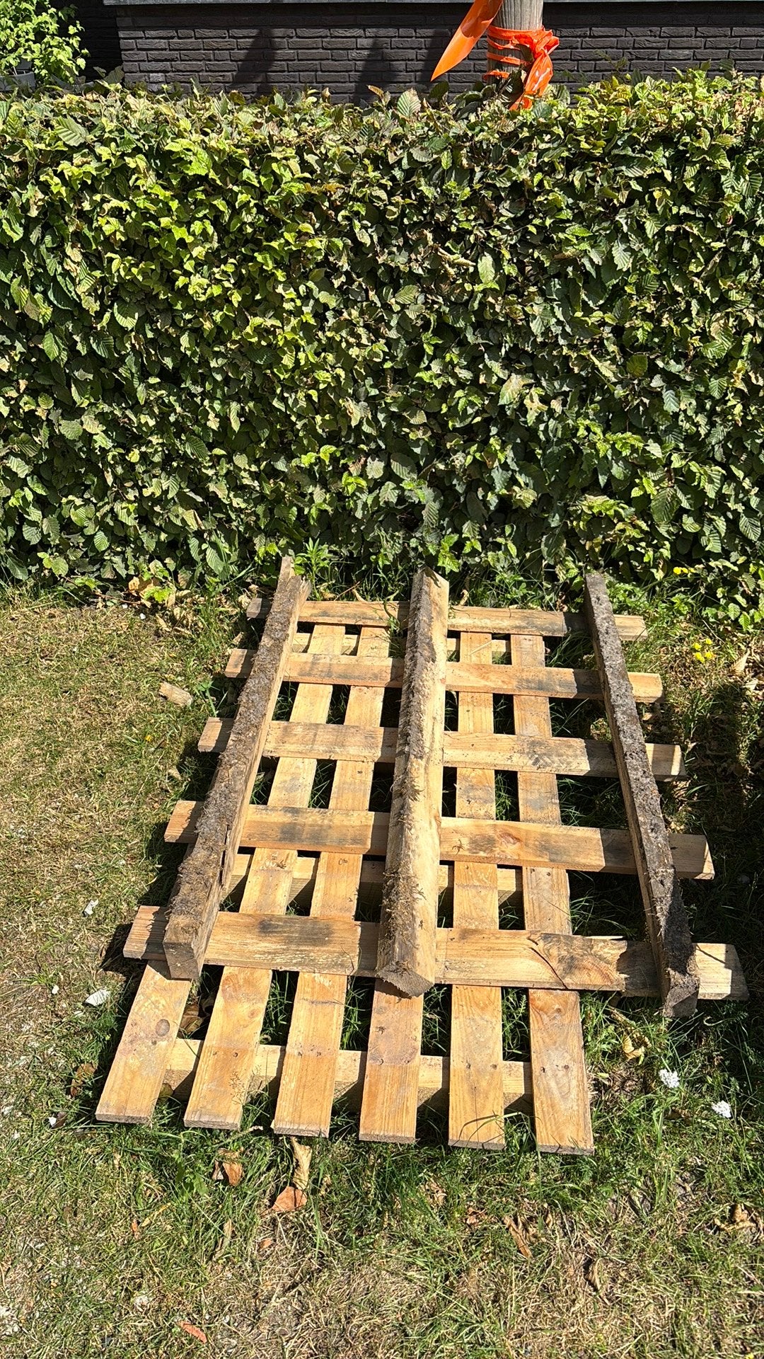 Schoon afvalhout, Ophalen, Zo goed als nieuw, Pallet, Minder dan 200 cm