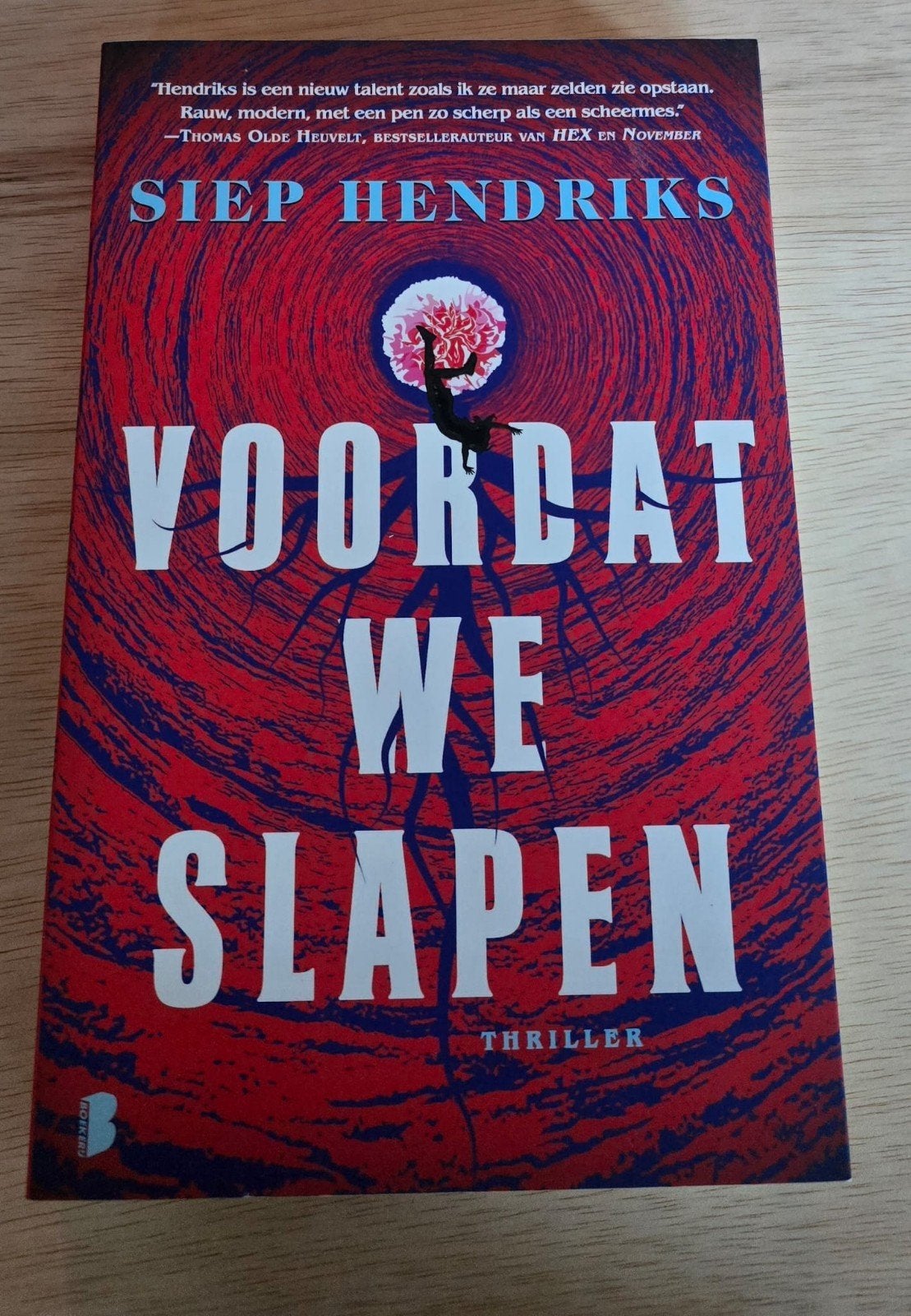 diverse boeken verkoop, Ophalen of Verzenden, Zo goed als nieuw, Siep Hendriks
