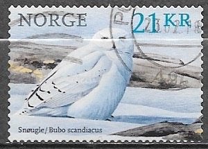 NOORWEGEN Innl. zegel Vogels (IV) - Sneeuwuil - 2018, Verzenden, Noorwegen, Gestempeld