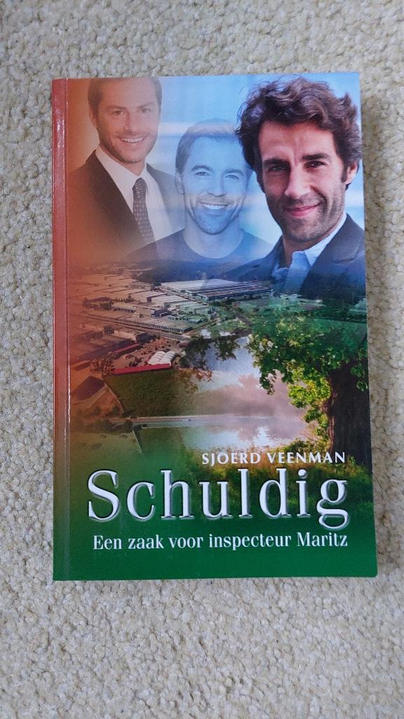 Schuldig, Sjoerd Veenman, Ophalen of Verzenden, Gelezen, Sjoerd Veenman