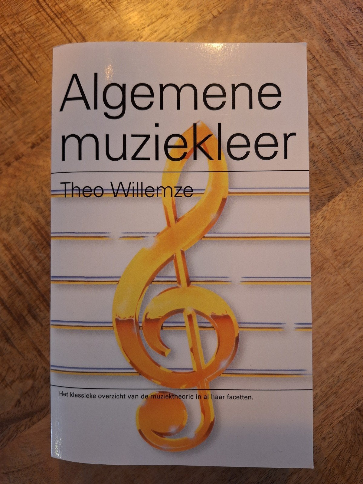 Theo Willemze - Algemene muziekleer, Artiest, Ophalen of Verzenden, Zo goed als nieuw, Theo Willemze