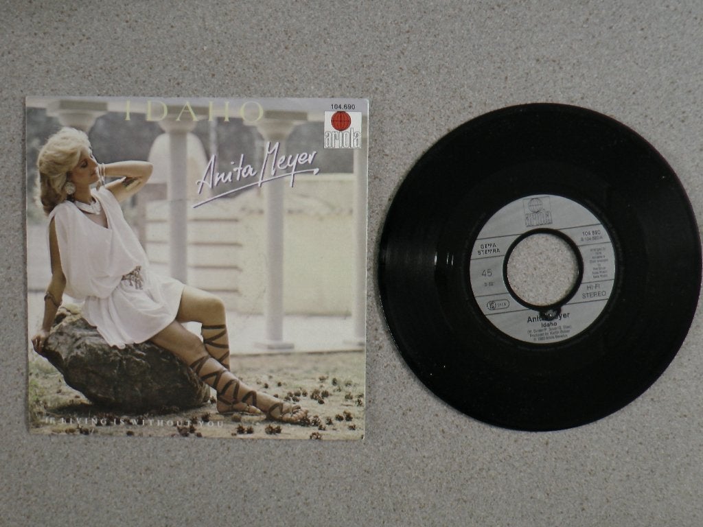 Anita Meyer - Idaho VINYL SINGLE, Gebruikt, 7 inch, Pop, Fotohoes