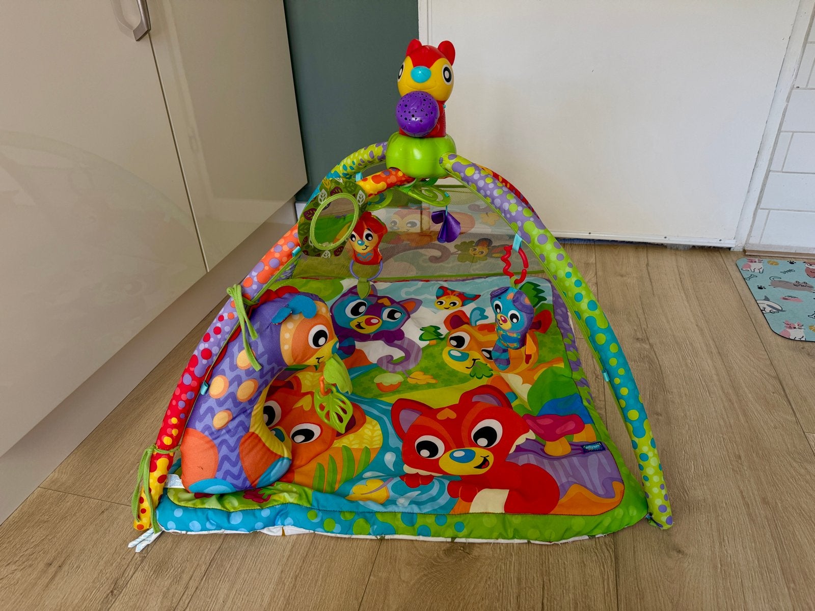 PLAYGRO Woodlands Speelmat/Babygym + Projector en Speeltjes, Kinderen en Baby's, Ophalen, Gebruikt, Speelkleed, Met licht