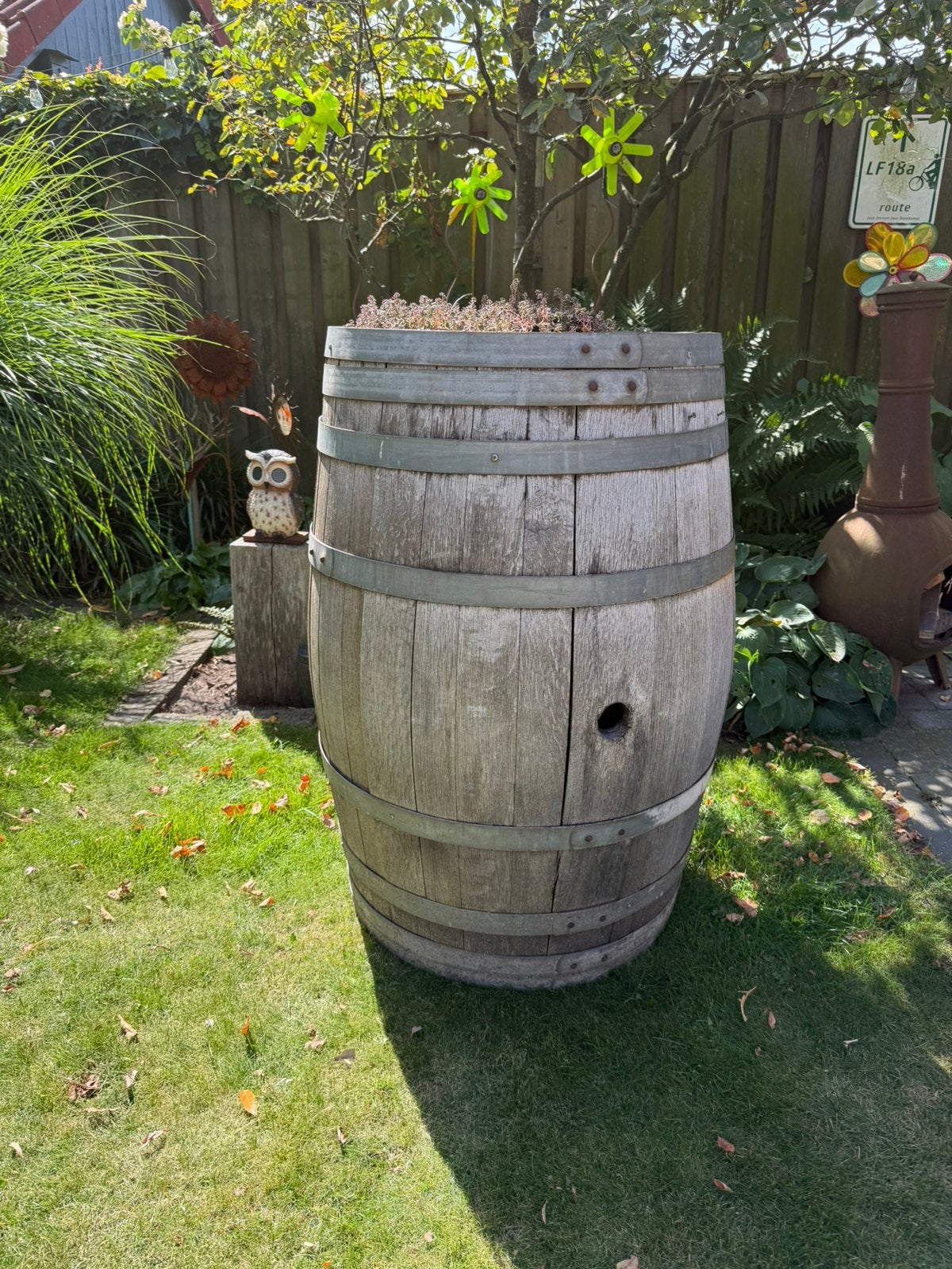 Antieke regenton!, Tuin en Terras, Regentonnen, 150 liter of meer, Ophalen, Gebruikt, Hout
