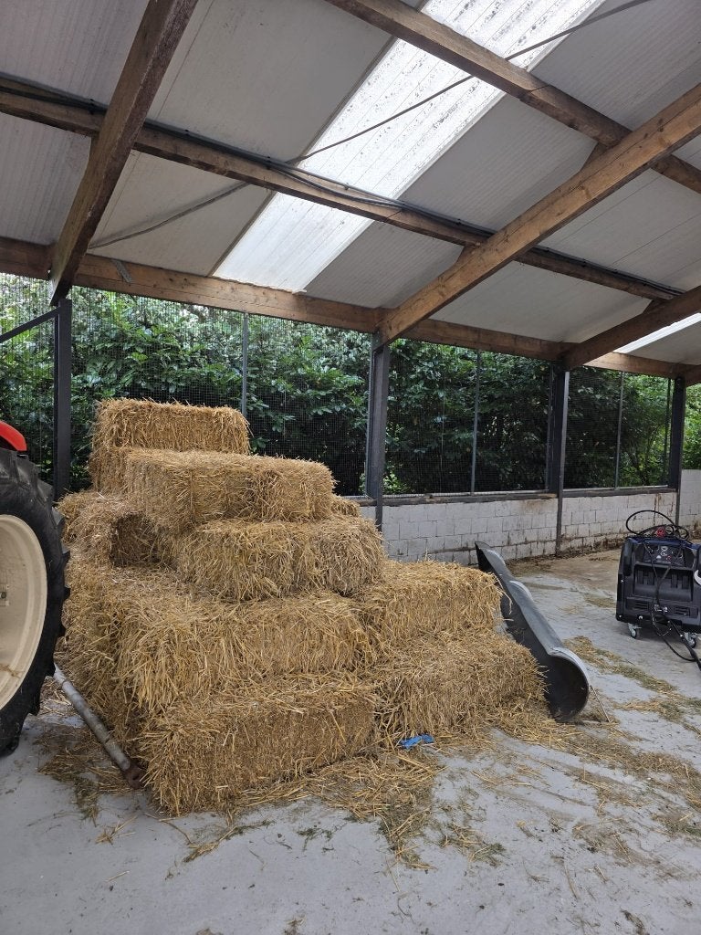 stro kleine stropakken stro pakjes 35 stuks goed en droog, Ophalen, Vee