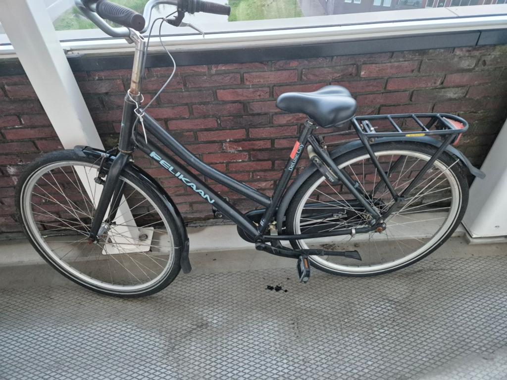 Dansenfies, Fietsen en Brommers, Ophalen, Overige merken