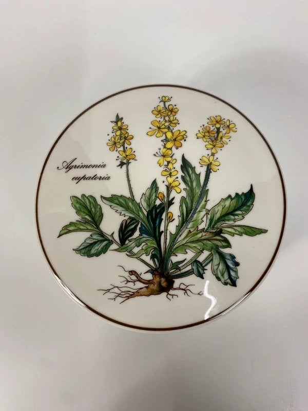 Villeroy & Boch schaal met deksel – Botanisch, Gebruikt, Overige typen, Ophalen of Verzenden, Nvt