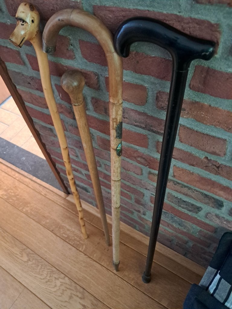 Wandelstokken klassiek / afrikaans, Ophalen of Verzenden, Gebruikt