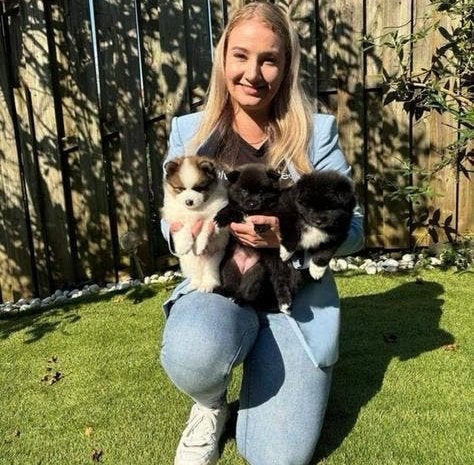 Honden uitlaten-honden & kattenoppas-dierverzorging aan huis, Ophalen of Verzenden, Zo goed als nieuw