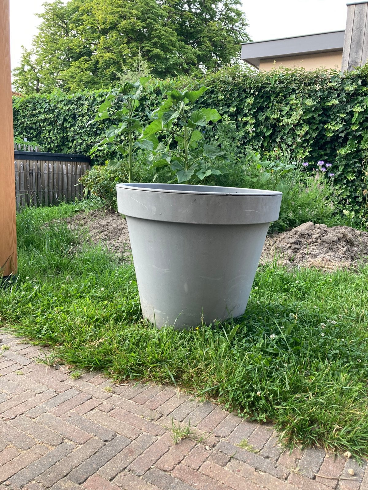 Grote plastic pot xxl, Tuin en Terras, Ophalen, Kunststof, Gebruikt, Minder dan 30 cm