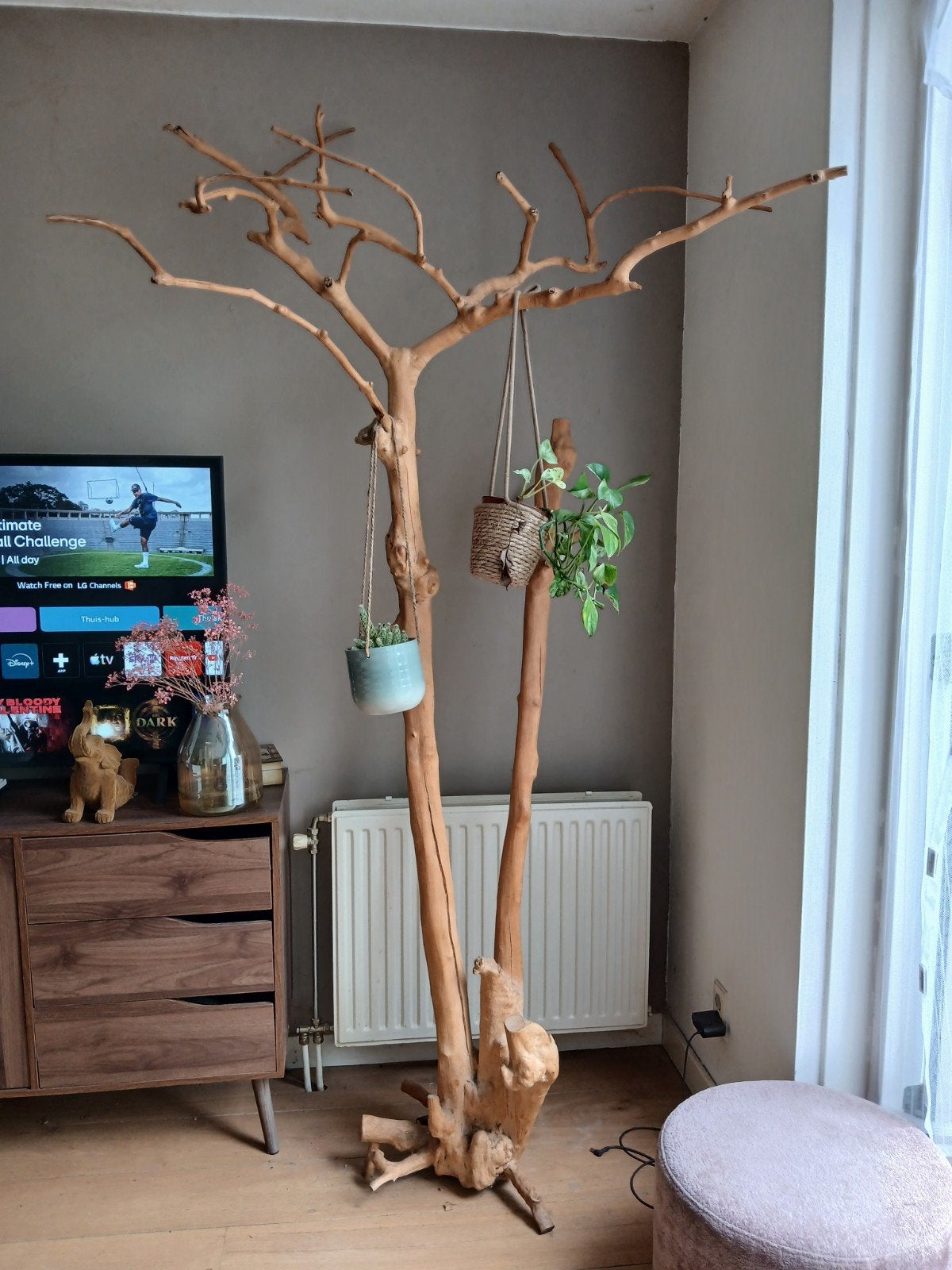 Unieke decoratieve boomstam met ophangmogelijkheden, Huis en Inrichting, Woonaccessoires | Overige, Ophalen, Hout, Gebruikt, Landelijk