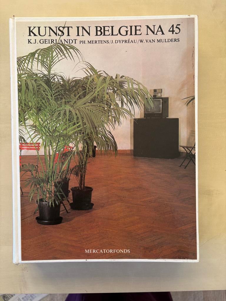 Kunst in België na 45, Ophalen of Verzenden, Zo goed als nieuw